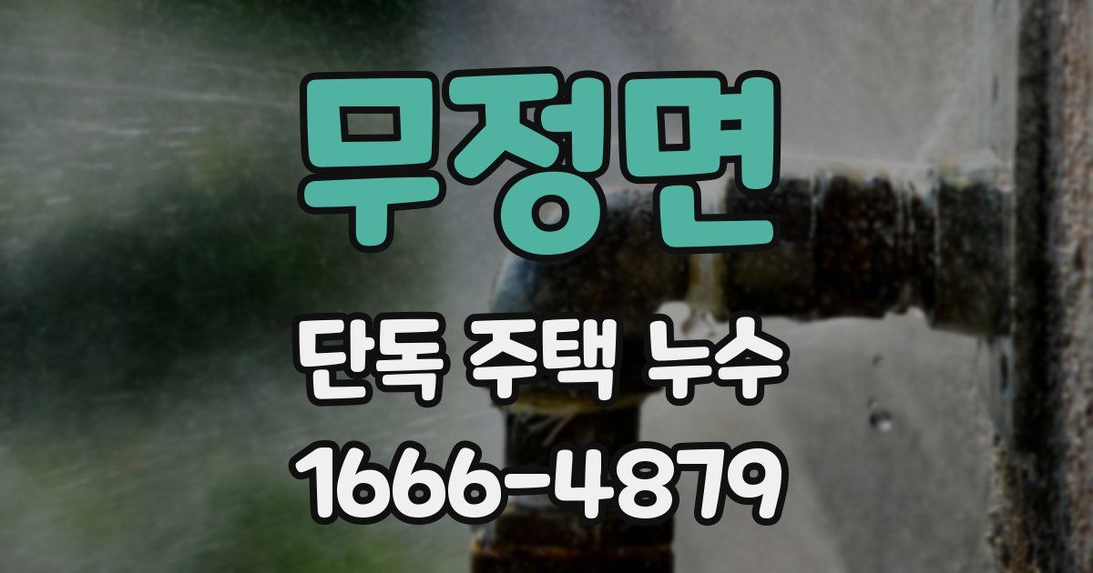 무정면 단독 주택 누수