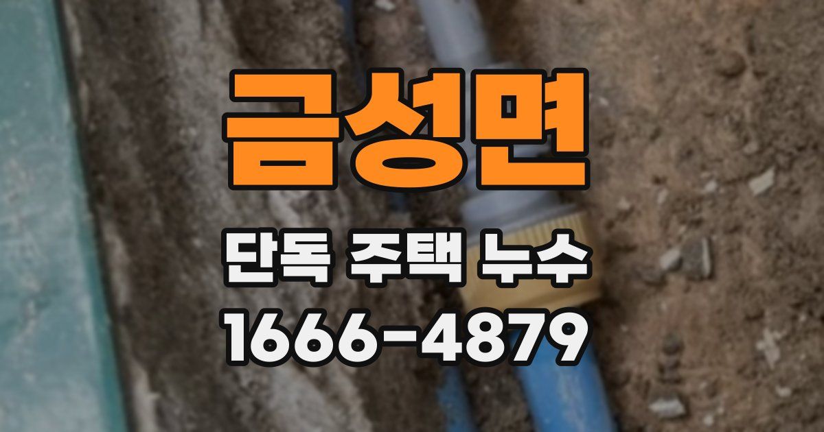 금성면 단독 주택 누수