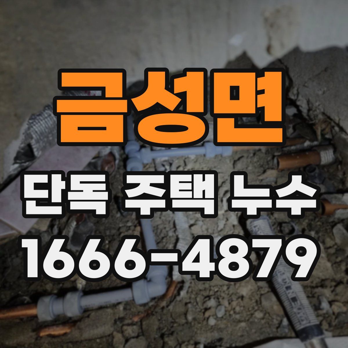 금성면 단독 주택 누수