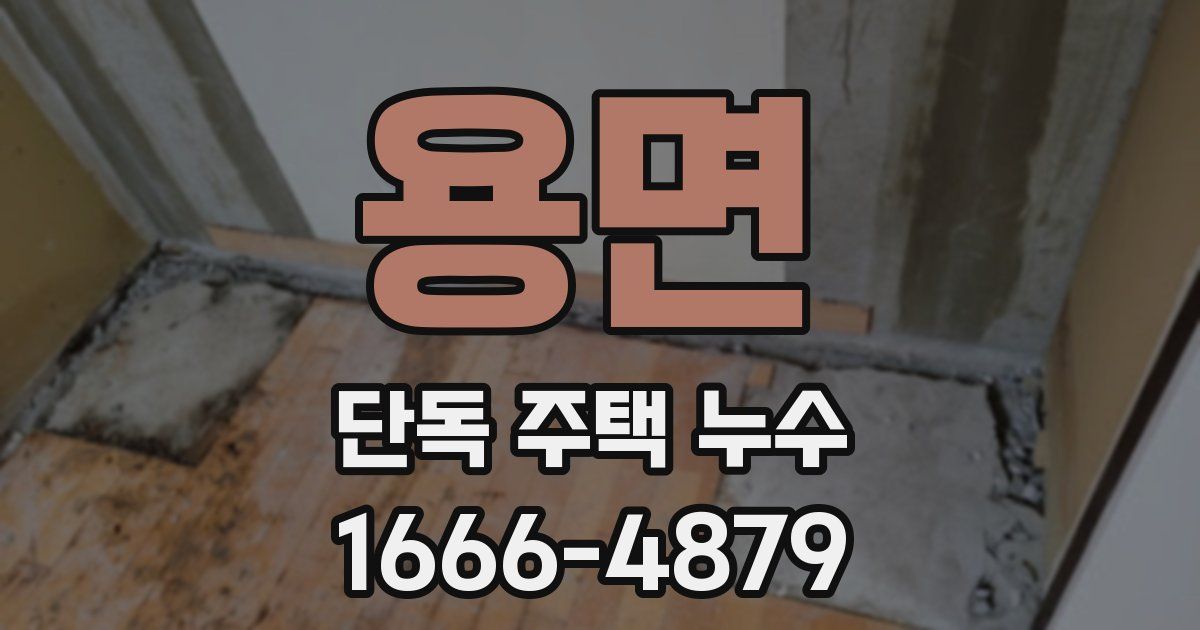 용면 단독 주택 누수