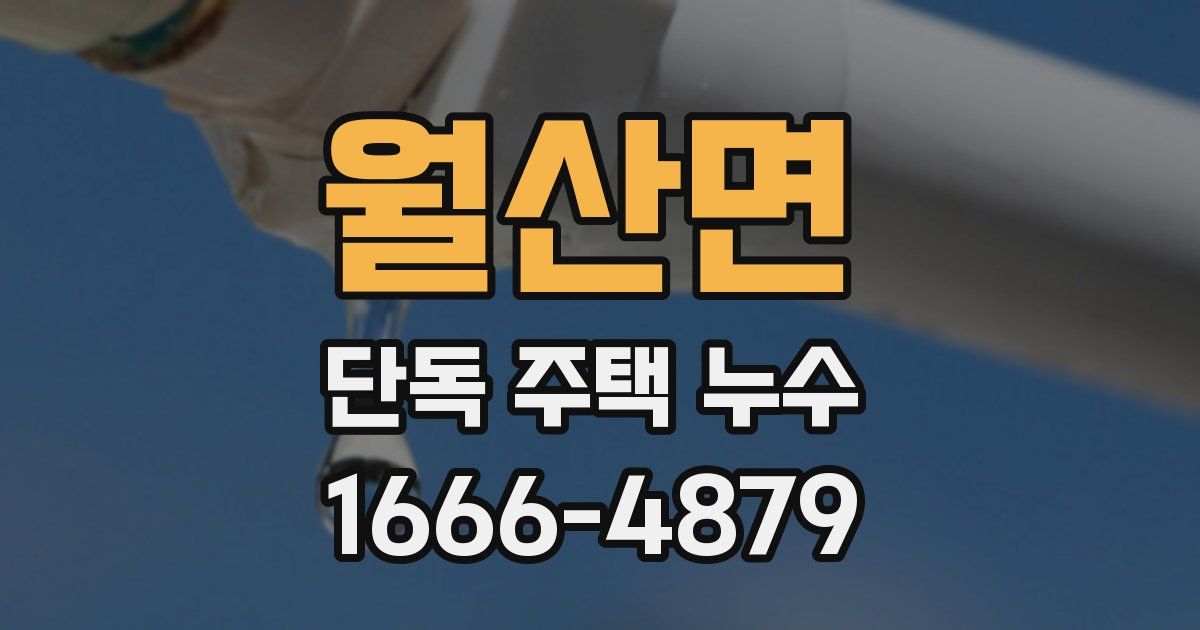 월산면 단독 주택 누수