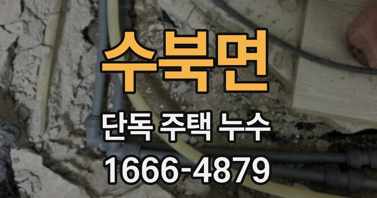 수북면 단독 주택 누수