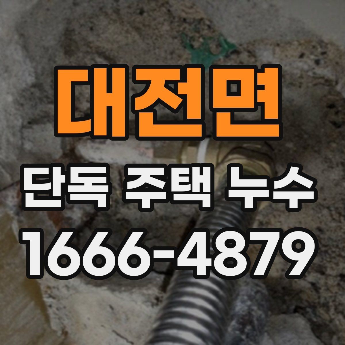 대전면 단독 주택 누수 실내 곰팡이와 함께 확인할 것