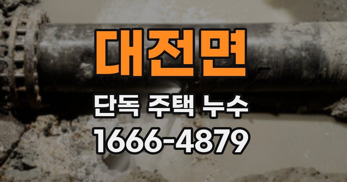 대전면 단독 주택 누수