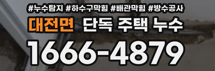 대전면 단독 주택 누수