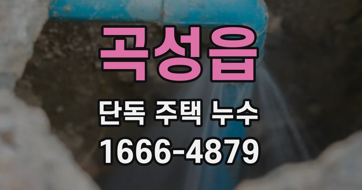 곡성읍 단독 주택 누수