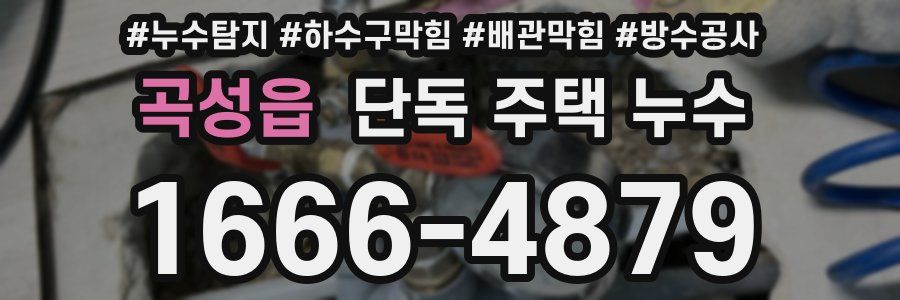 곡성읍 단독 주택 누수