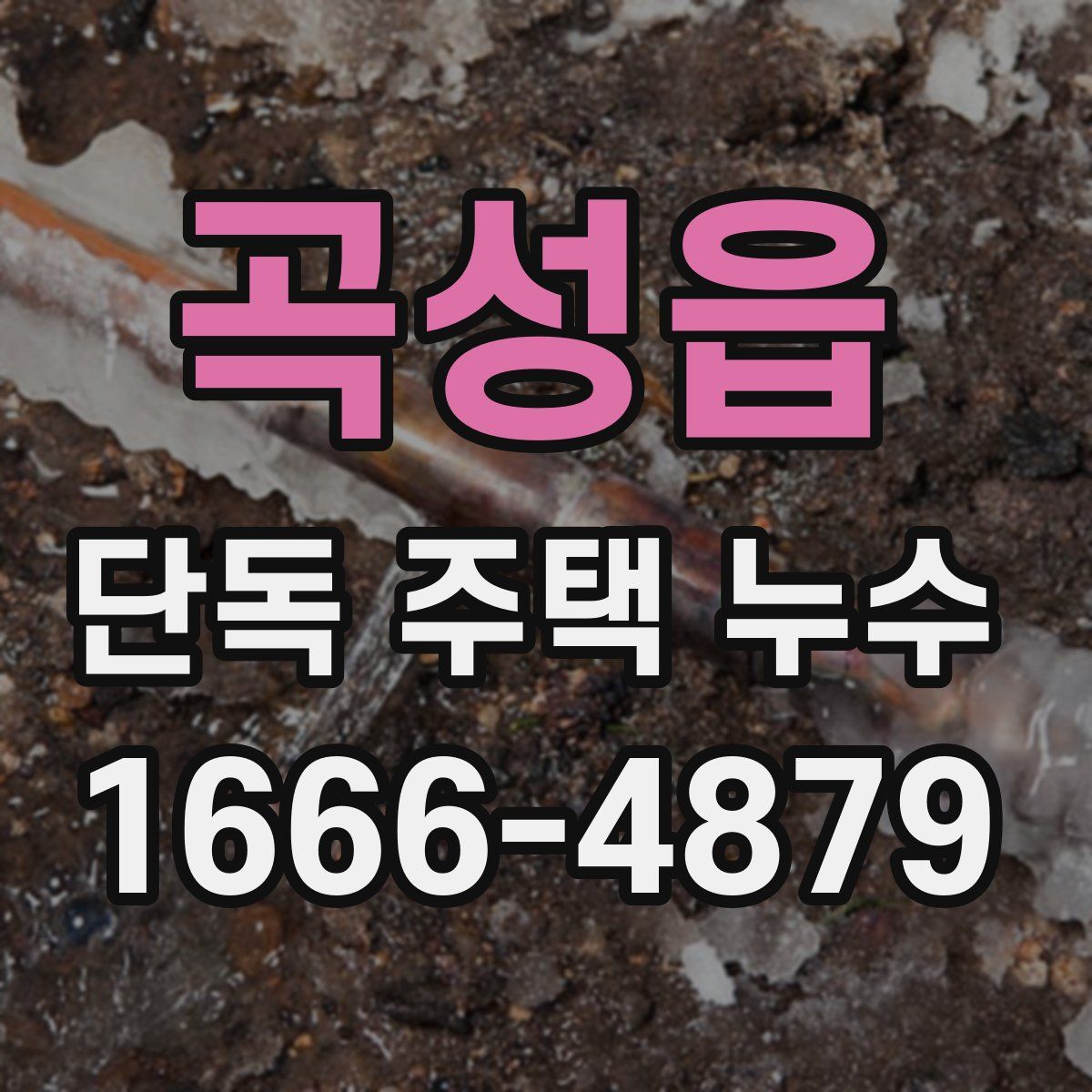 곡성읍 단독 주택 누수