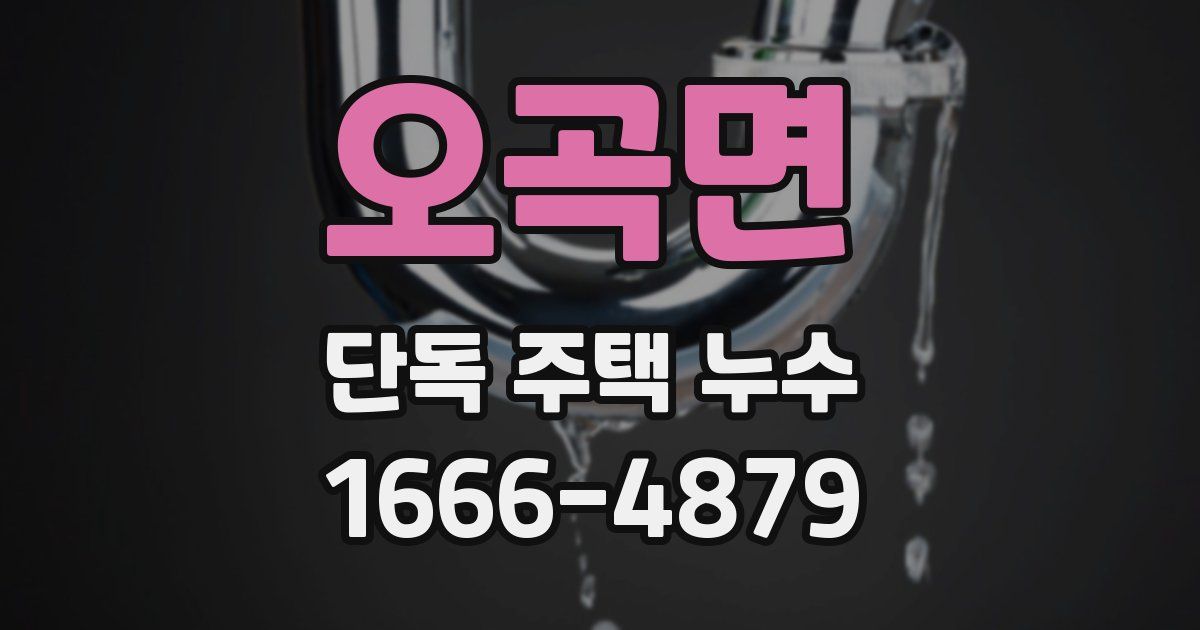 오곡면 단독 주택 누수