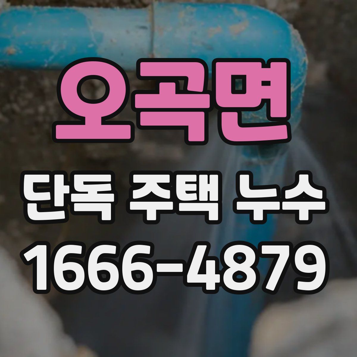 오곡면 단독 주택 누수