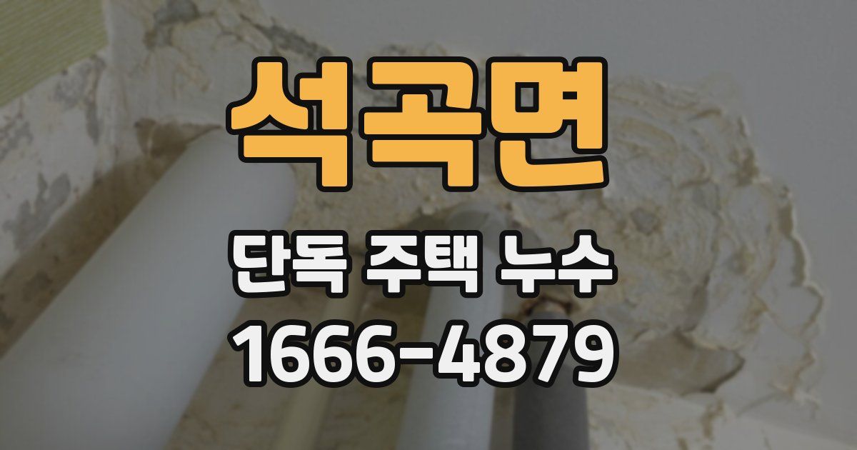 석곡면 단독 주택 누수