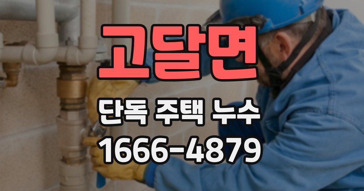 고달면 단독 주택 누수