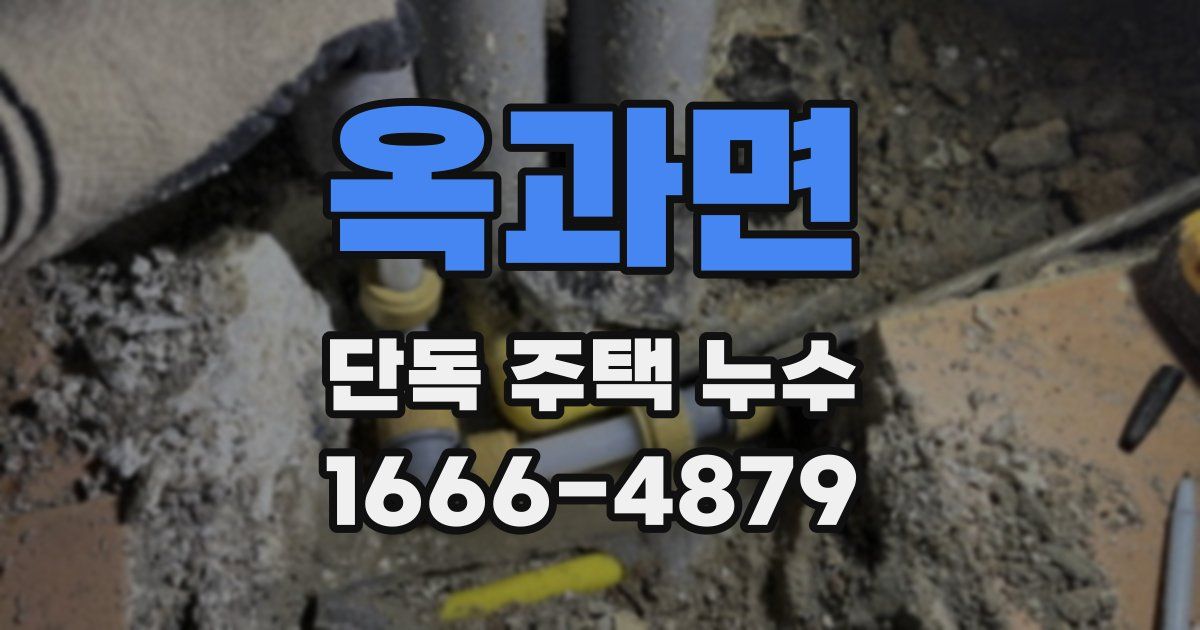 옥과면 단독 주택 누수