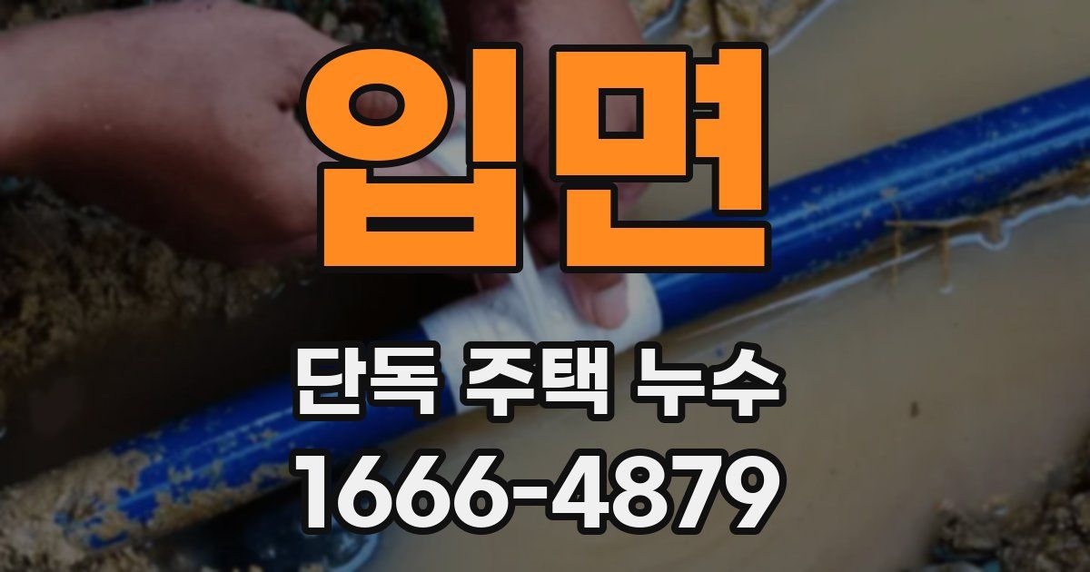 입면 단독 주택 누수