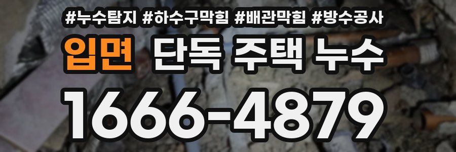 입면 단독 주택 누수