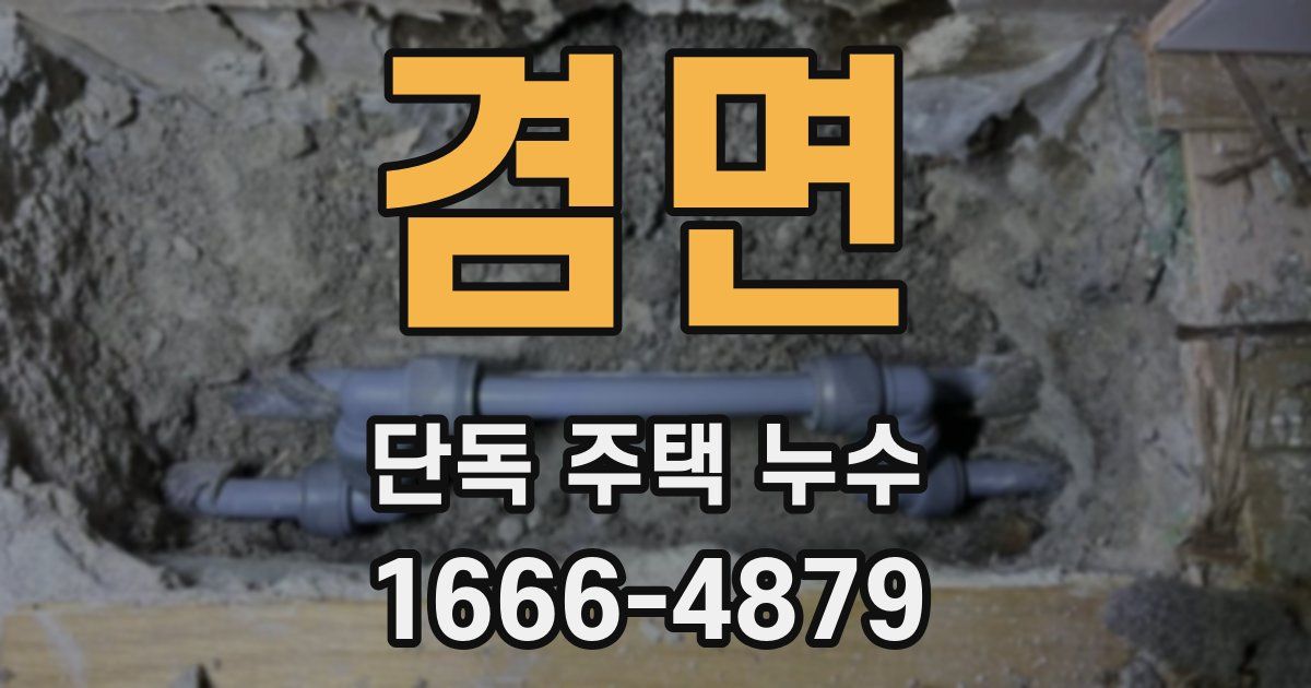겸면 단독 주택 누수