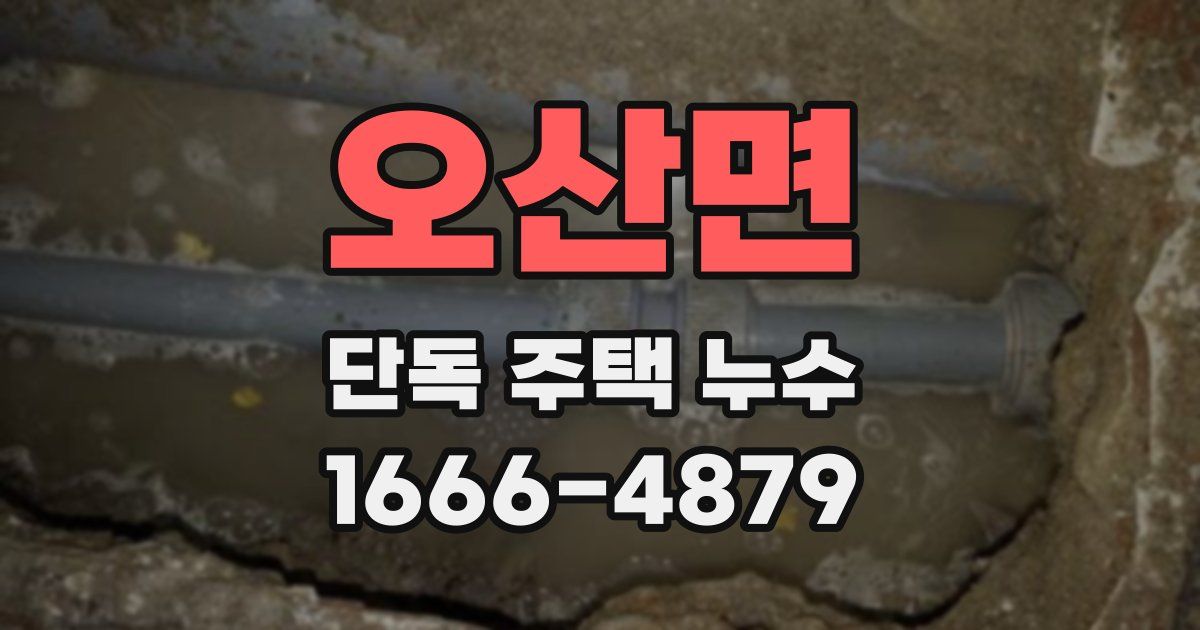 오산면 단독 주택 누수