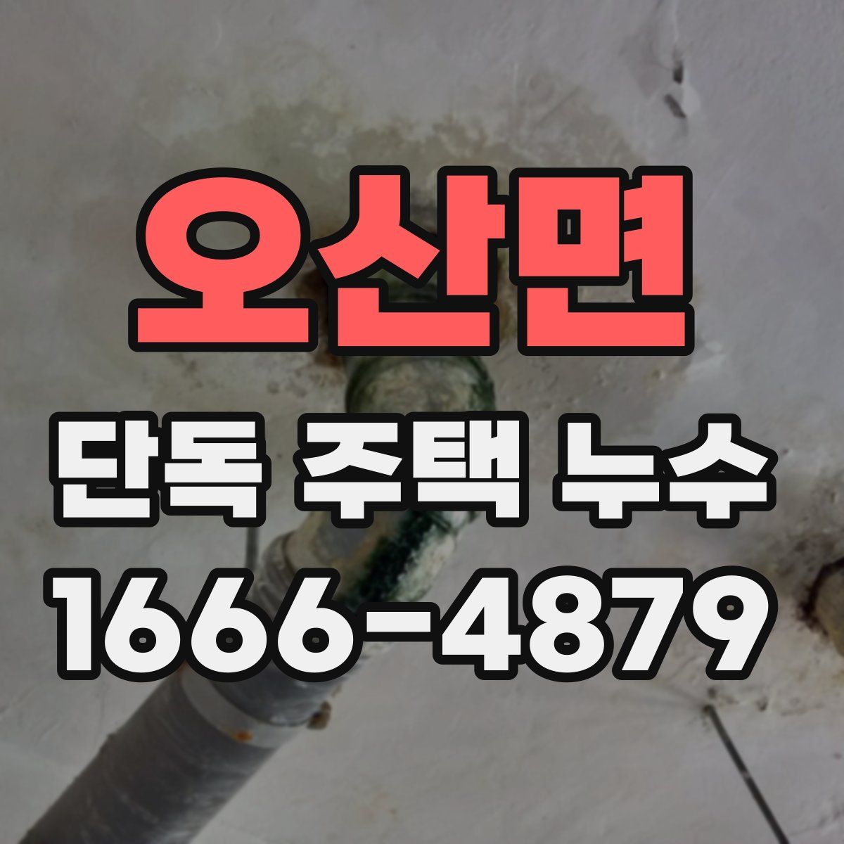 오산면 단독 주택 누수