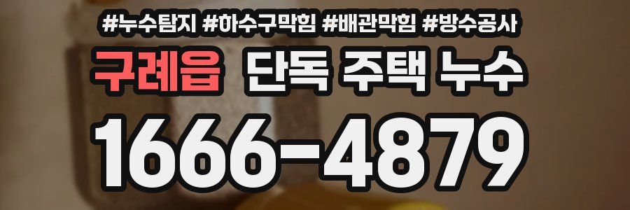 구례읍 단독 주택 누수