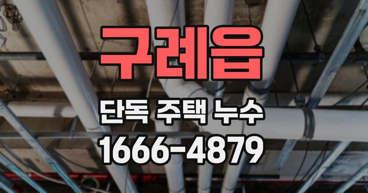 구례읍 단독 주택 누수