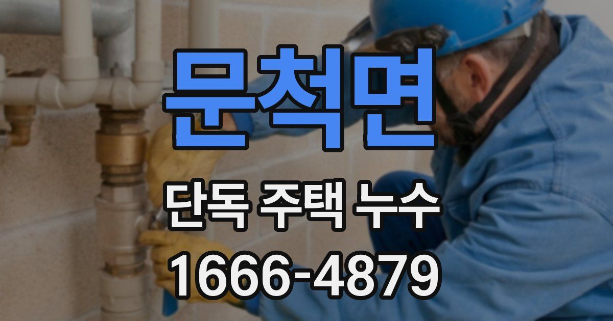 문척면 단독 주택 누수
