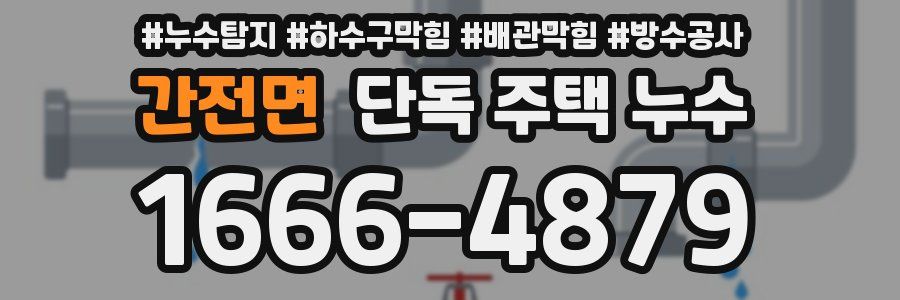 간전면 단독 주택 누수