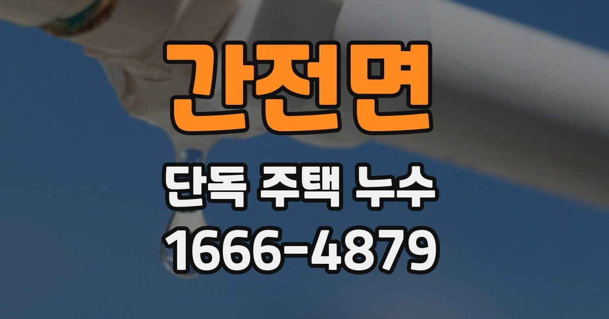간전면 단독 주택 누수