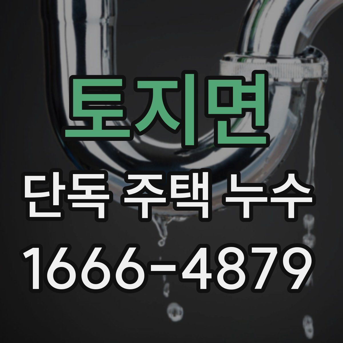 토지면 단독 주택 누수