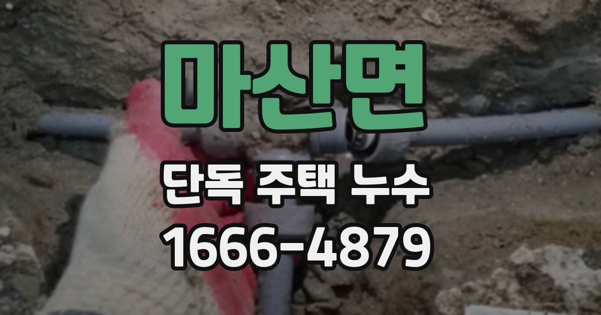 마산면 단독 주택 누수