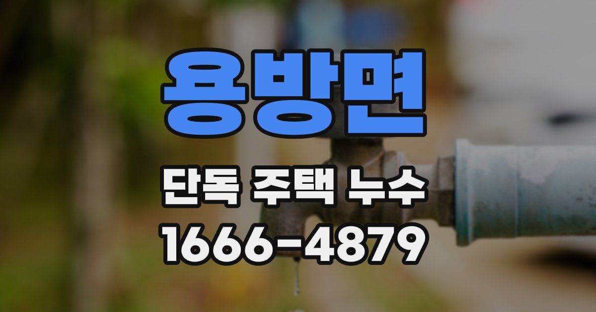 용방면 단독 주택 누수
