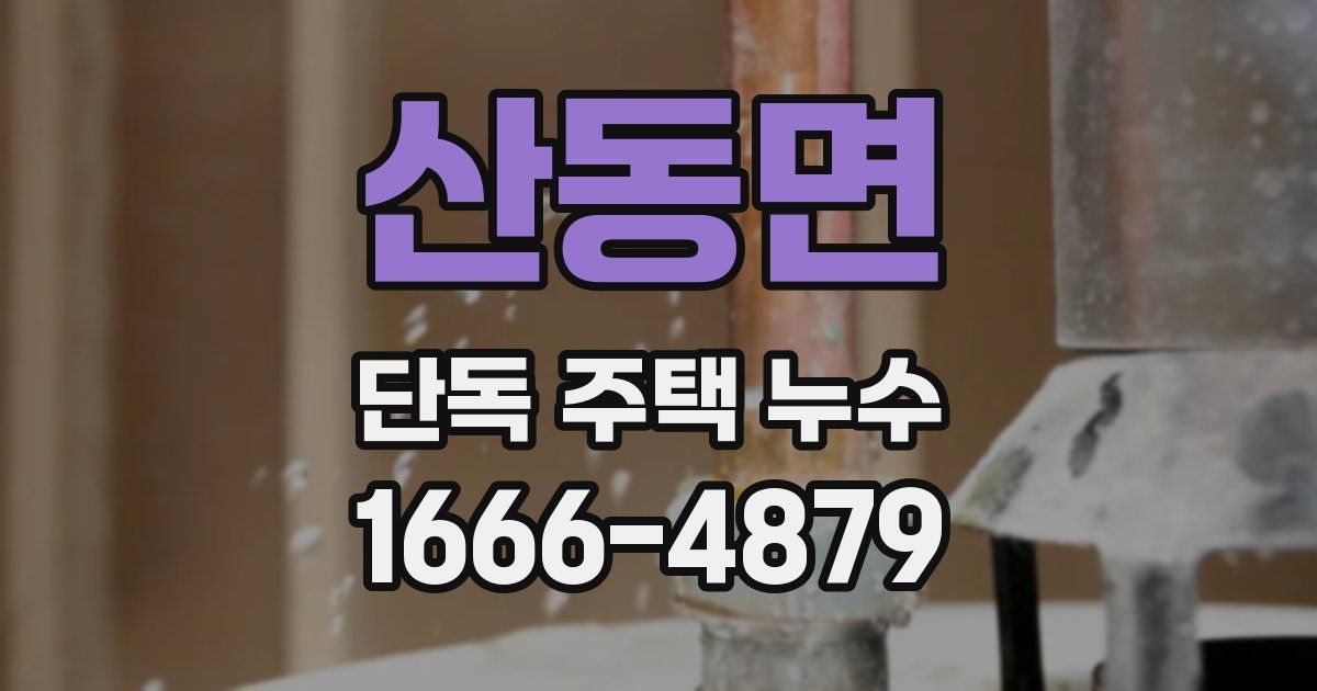 산동면 단독 주택 누수