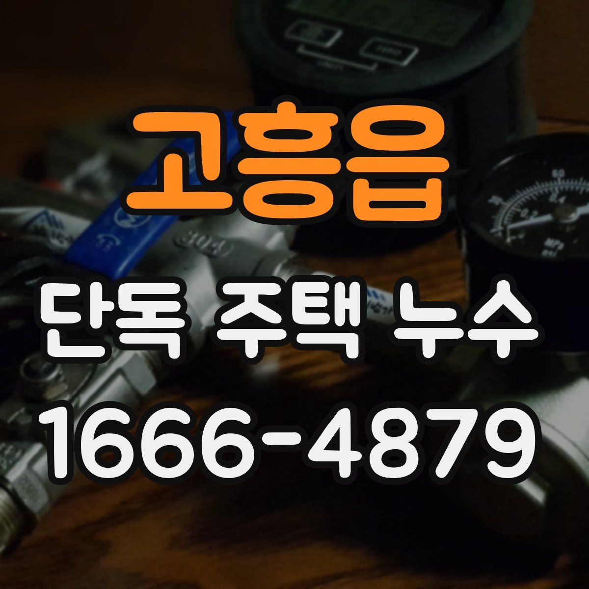 고흥읍 단독 주택 누수