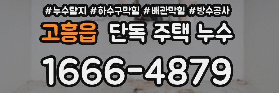 고흥읍 단독 주택 누수