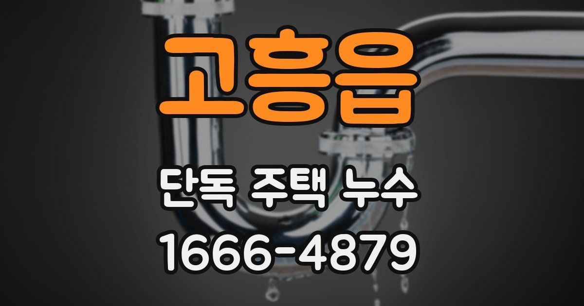 고흥읍 단독 주택 누수