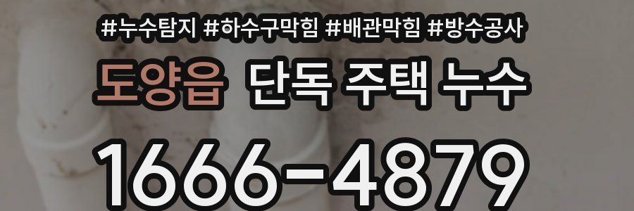 도양읍 단독 주택 누수