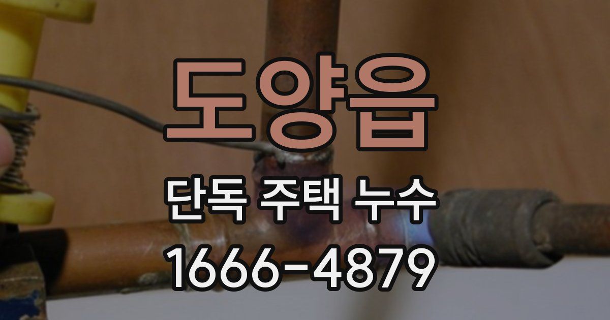 도양읍 단독 주택 누수