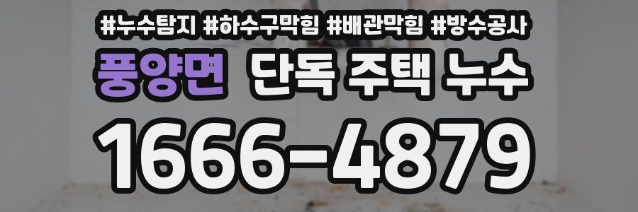풍양면 단독 주택 누수