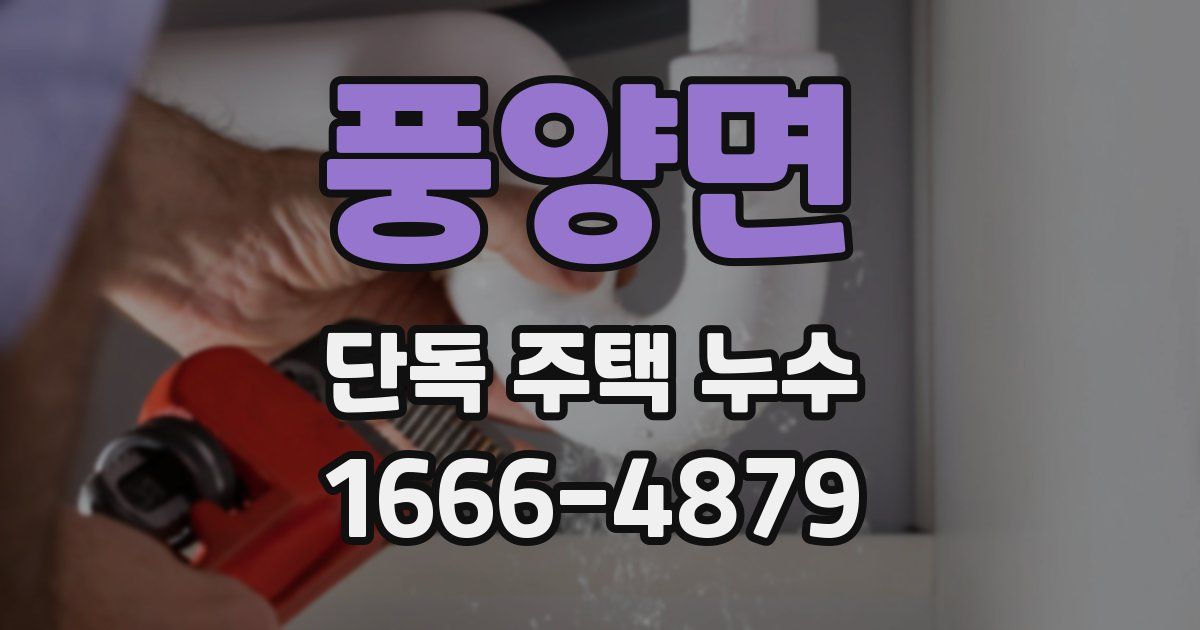 풍양면 단독 주택 누수