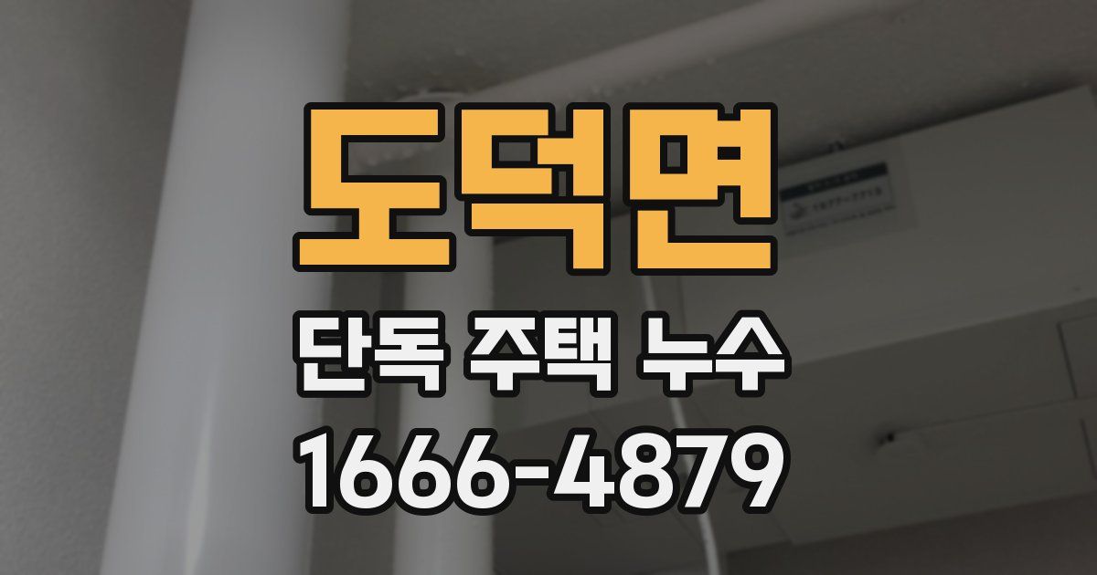 도덕면 단독 주택 누수