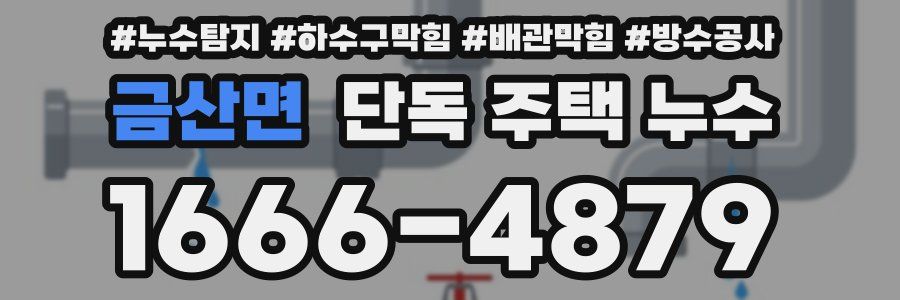 금산면 단독 주택 누수