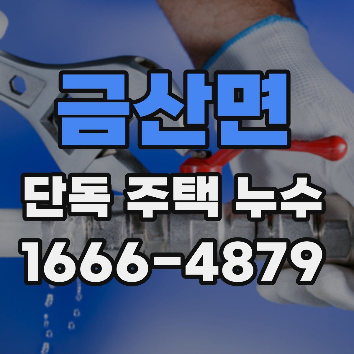 금산면 단독 주택 누수