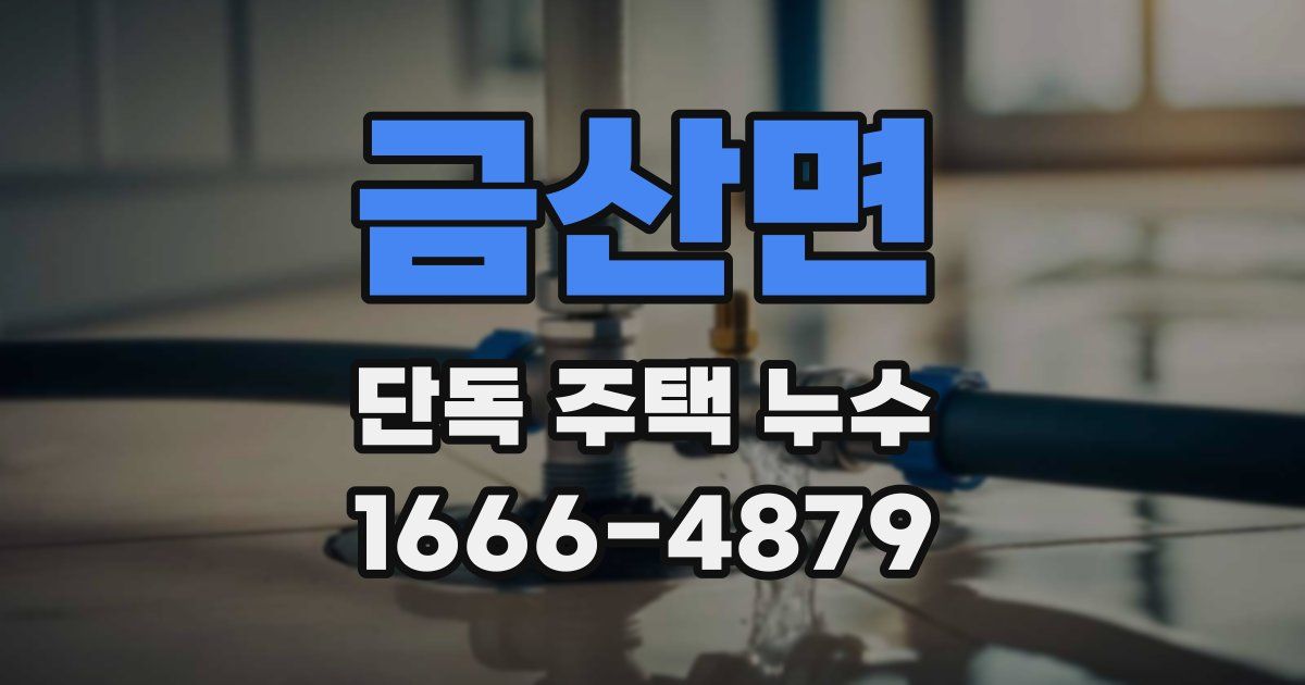 금산면 단독 주택 누수