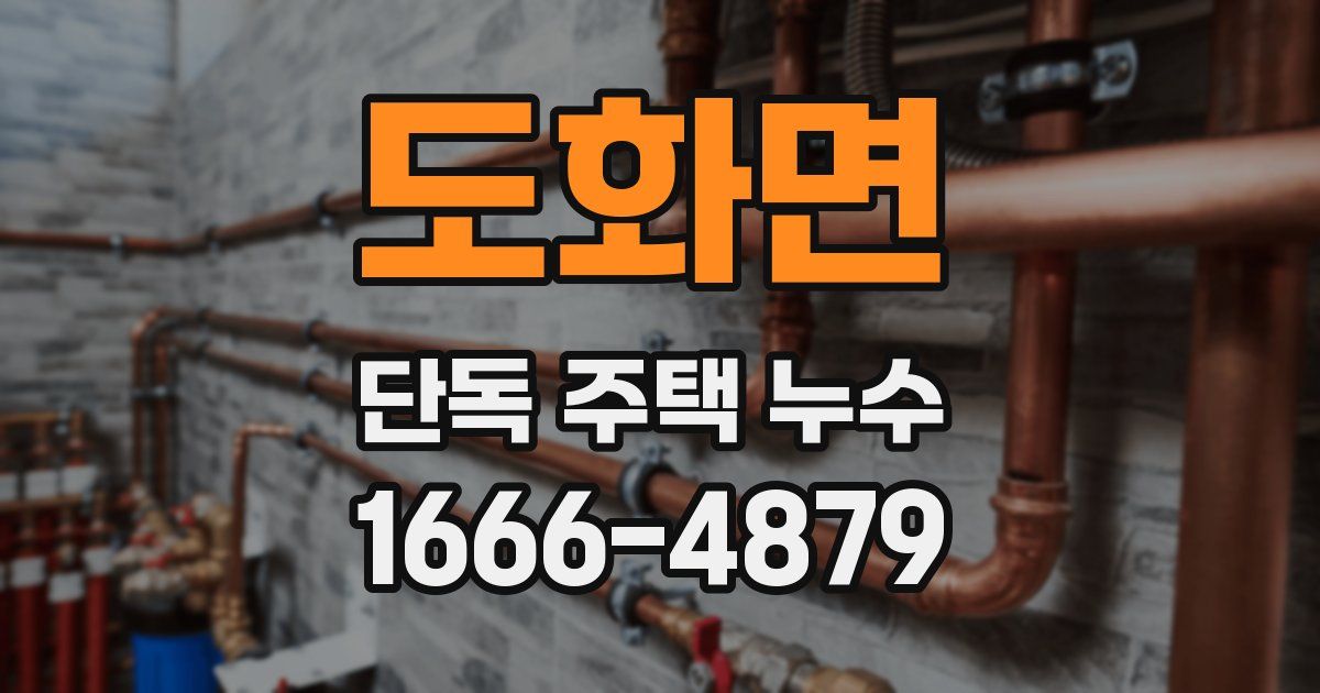 도화면 단독 주택 누수