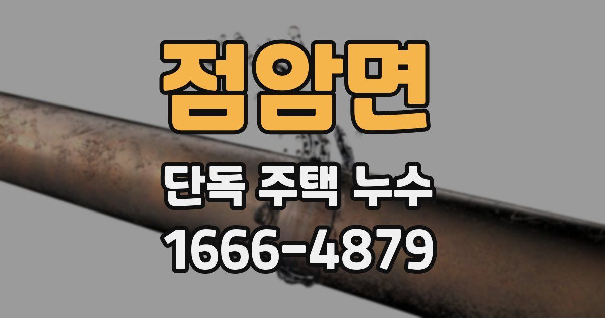 점암면 단독 주택 누수