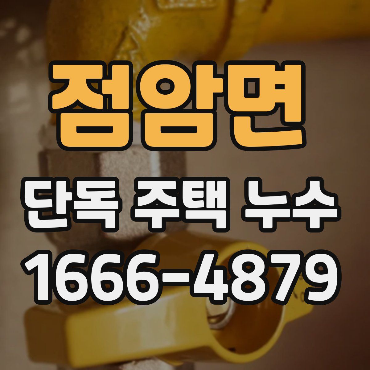 점암면 단독 주택 누수