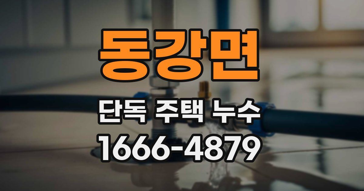 동강면 단독 주택 누수