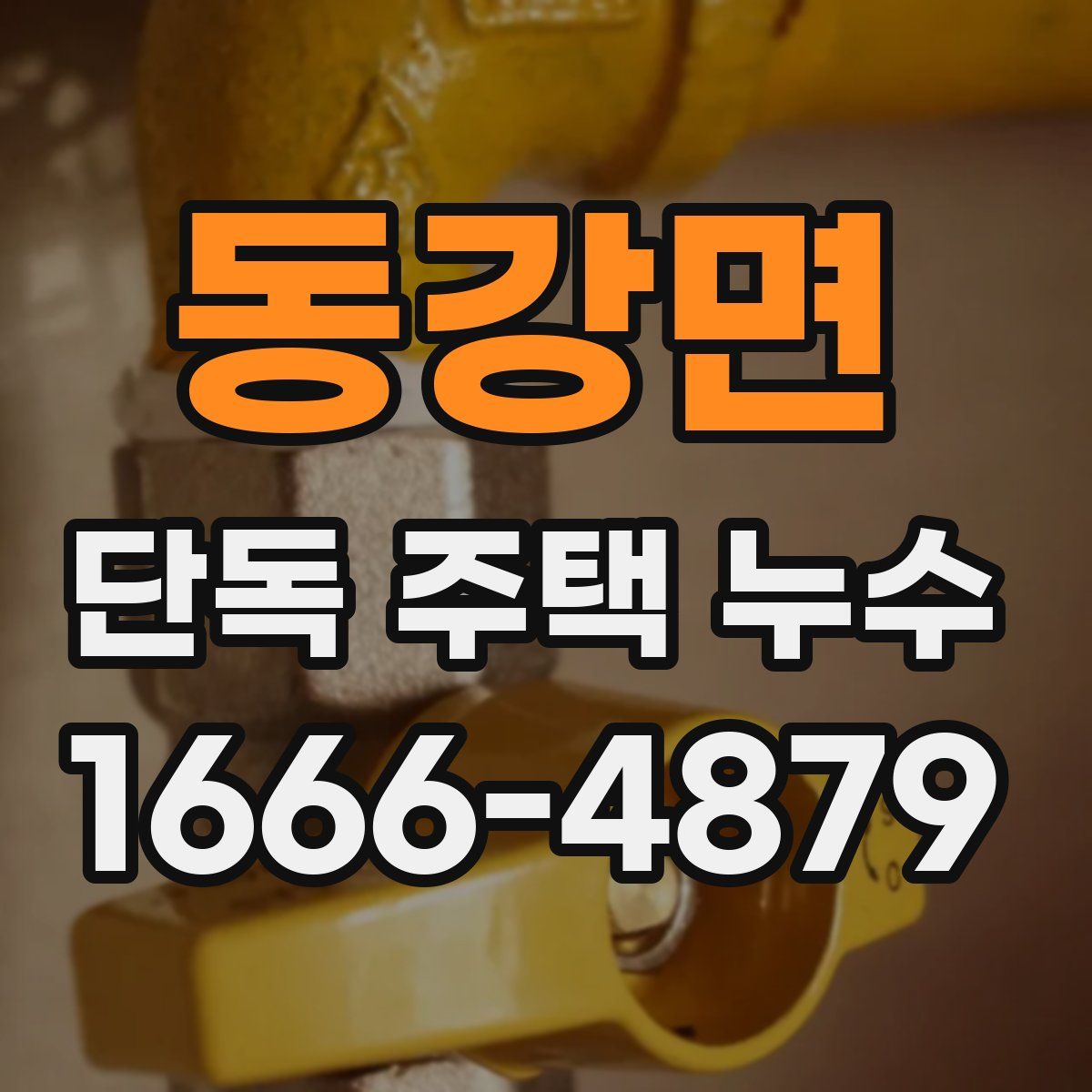 동강면 단독 주택 누수
