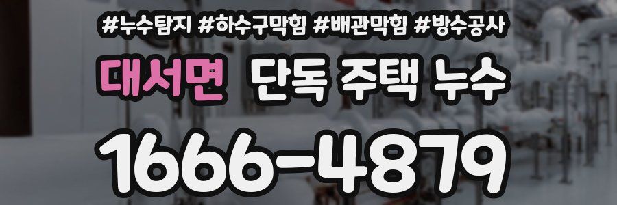 대서면 단독 주택 누수