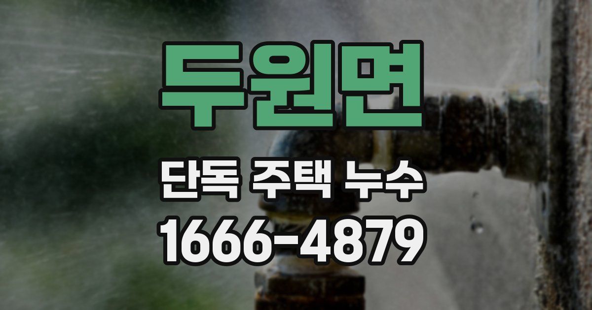 두원면 단독 주택 누수