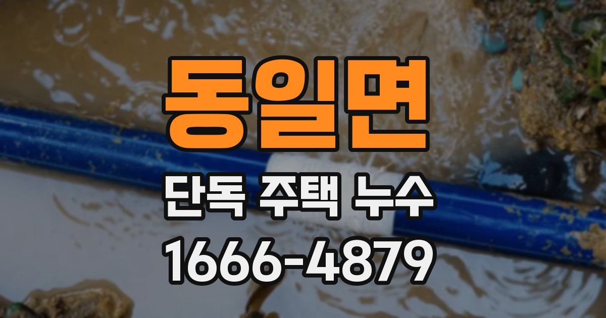 동일면 단독 주택 누수